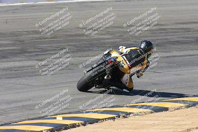 media/Feb-04-2024-SoCal Trackdays (Sun) [[91d6515b1d]]/4-Bowl Backside (11am)/